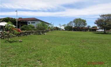 TERRENO A LA VENTA HACIENDA LOS MOLINOS DOLEGA CHIRIQUI