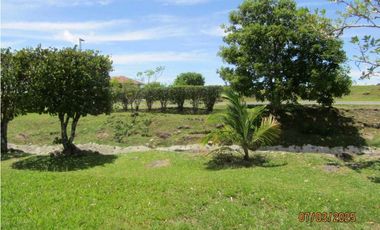 TERRENO A LA VENTA HACIENDA LOS MOLINOS DOLEGA CHIRIQUI