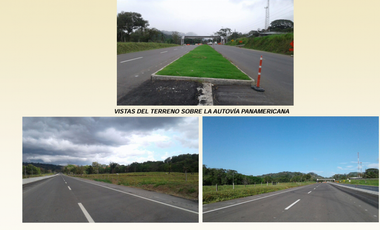 Venta Terreno Via Interamericana Los Remedios Chiriqui