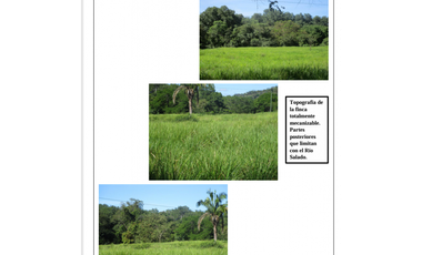 Venta Terreno Via Interamericana Los Remedios Chiriqui