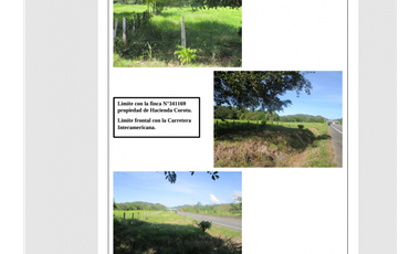 Venta Terreno Via Interamericana Los Remedios Chiriqui