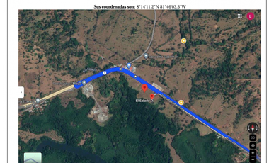 Venta Terreno Via Interamericana Los Remedios Chiriqui