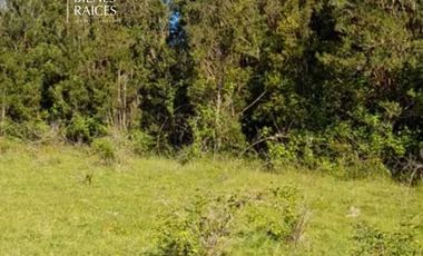 Parcela en arriendo en PUERTO MONTT