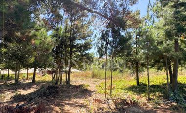 Parcela en venta en TOMÉ