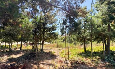 Parcela en venta en TOMÉ