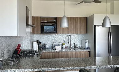 TU NUEVO HOGAR EN ALTAMAR RESIDENCIAL ACAPULCO DIAMANTE