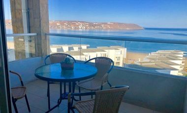 Departamento en Arriendo en Dario Salas 497