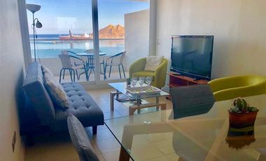 Departamento en Arriendo en Dario Salas 497