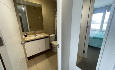 Departamento en Arriendo en Dario Salas 497