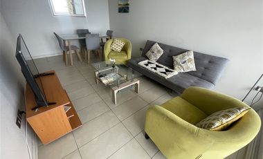 Departamento en Arriendo en Dario Salas 497