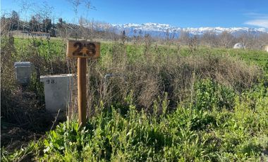 Venta Parcela 5000 m2 en condominio El Guindal  Calle Larga