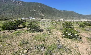 Parcela en Venta en Ruta 5 Norte - Cruce Totoralillo
