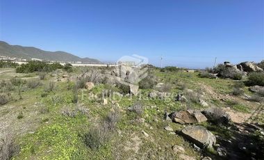 Parcela en Venta en Ruta 5 Norte - Cruce Totoralillo