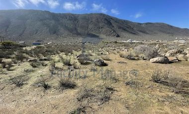 Parcela en Venta en Altos de Totoralillo, Ruta 5 a 4 kilómetros de acceso Playa Totoralillo