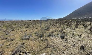 Parcela en Venta en Ruta 5 a 4 kilómetros de acceso Playa Totoralillo