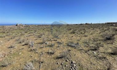 Parcela en Venta en Ruta 5 a 4 kilómetros de acceso Playa Totoralillo