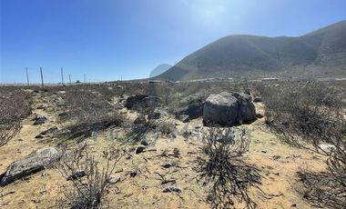 Parcela en Venta en Ruta 5 a 4 kilómetros de acceso Playa Totoralillo