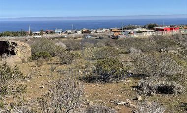 Parcela en Venta en Ruta 5 Norte - Cruce Totoralillo
