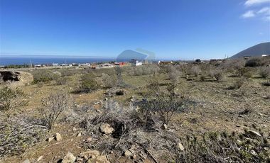 Parcela en Venta en Ruta 5 Norte - Cruce Totoralillo