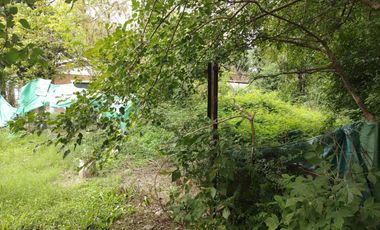 Lote 300m2 centro de Zelaya