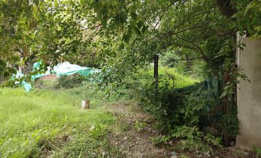 Lote 300m2 centro de Zelaya