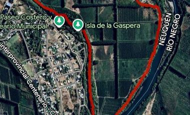 En Venta Chacra de 65 Has, Isla Adelina, Centenario Neuquén.