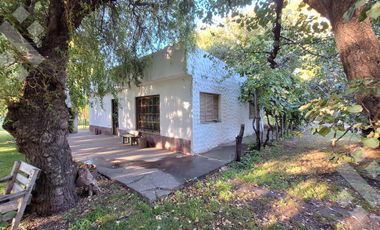En Venta Chacra de 65 Has, Isla Adelina, Centenario Neuquén.