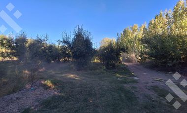 En Venta Chacra de 65 Has, Isla Adelina, Centenario Neuquén.