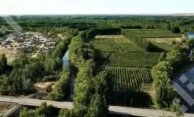 En Venta Chacra de 65 Has, Isla Adelina, Centenario Neuquén.
