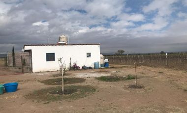 Rancho en Venta en Rancho Nuevo Zacatecas