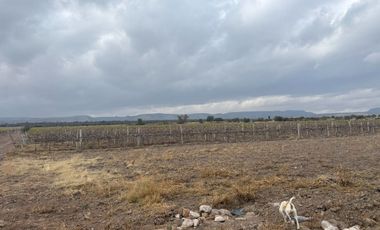 Rancho en Venta en Rancho Nuevo Zacatecas