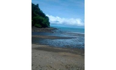 VENDO.22.HECTAREAS EN ISLA.GOBERNADORA