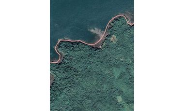 VENDO.22.HECTAREAS EN ISLA.GOBERNADORA