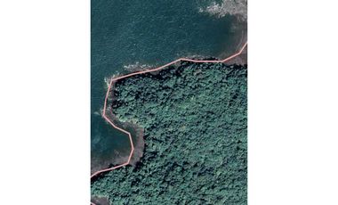 VENDO.22.HECTAREAS EN ISLA.GOBERNADORA