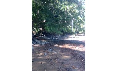 VENDO.22.HECTAREAS EN ISLA.GOBERNADORA