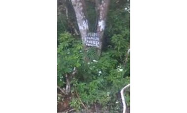VENDO.22.HECTAREAS EN ISLA.GOBERNADORA