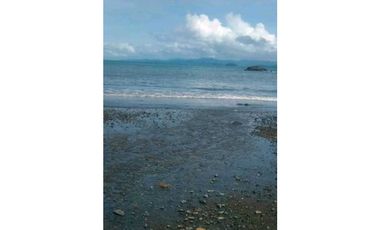 VENDO.22.HECTAREAS EN ISLA.GOBERNADORA