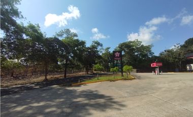 Se Vende Finca de 11 HAS Llanito Verde-La Chorrera (DR)