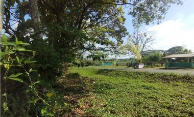 Se Vende Finca de 11 HAS Llanito Verde-La Chorrera (DR)