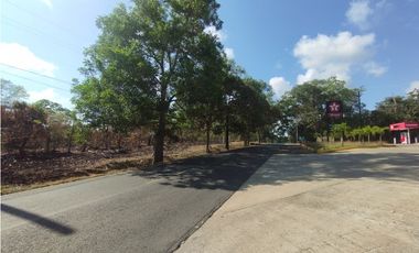 Se Vende Finca de 11 HAS Llanito Verde-La Chorrera (DR)