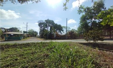 Se Vende Finca de 11 HAS Llanito Verde-La Chorrera (DR)