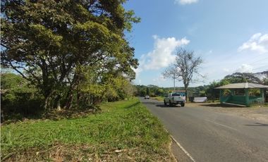 Se Vende Finca de 11 HAS Llanito Verde-La Chorrera (DR)