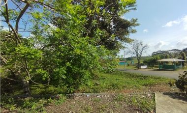 Se Vende Finca de 11 HAS Llanito Verde-La Chorrera (DR)