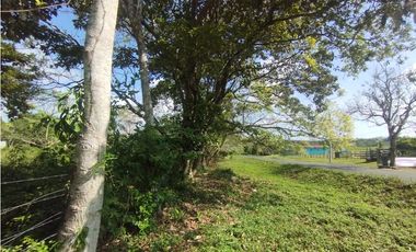 Se Vende Finca de 11 HAS Llanito Verde-La Chorrera (DR)