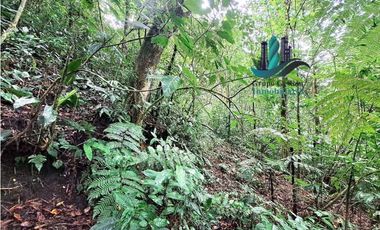 VENDO.FINCA DE 4.5 HECTAREAS BOSQUE CON.RIO