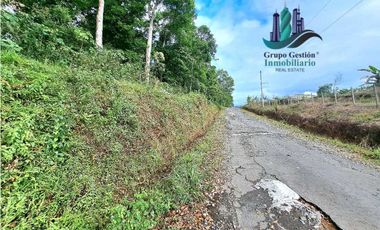 VENDO.FINCA DE 4.5 HECTAREAS BOSQUE CON.RIO