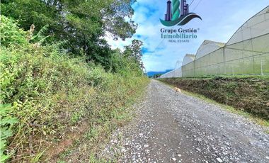 VENDO.FINCA DE 4.5 HECTAREAS BOSQUE CON.RIO