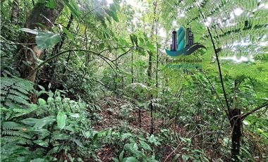 VENDO.FINCA DE 4.5 HECTAREAS BOSQUE CON.RIO