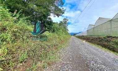 VENDO.FINCA DE 4.5 HECTAREAS BOSQUE CON.RIO