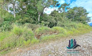 VENDO.FINCA DE 4.5 HECTAREAS BOSQUE CON.RIO